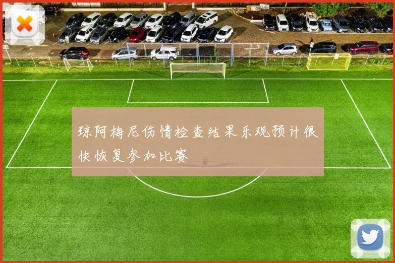 琼阿梅尼伤情检查结果乐观预计很快恢复参加比赛