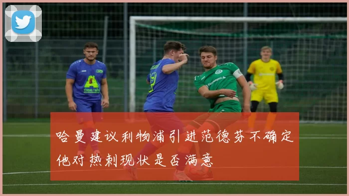 哈曼建议利物浦引进范德芬不确定他对热刺现状是否满意
